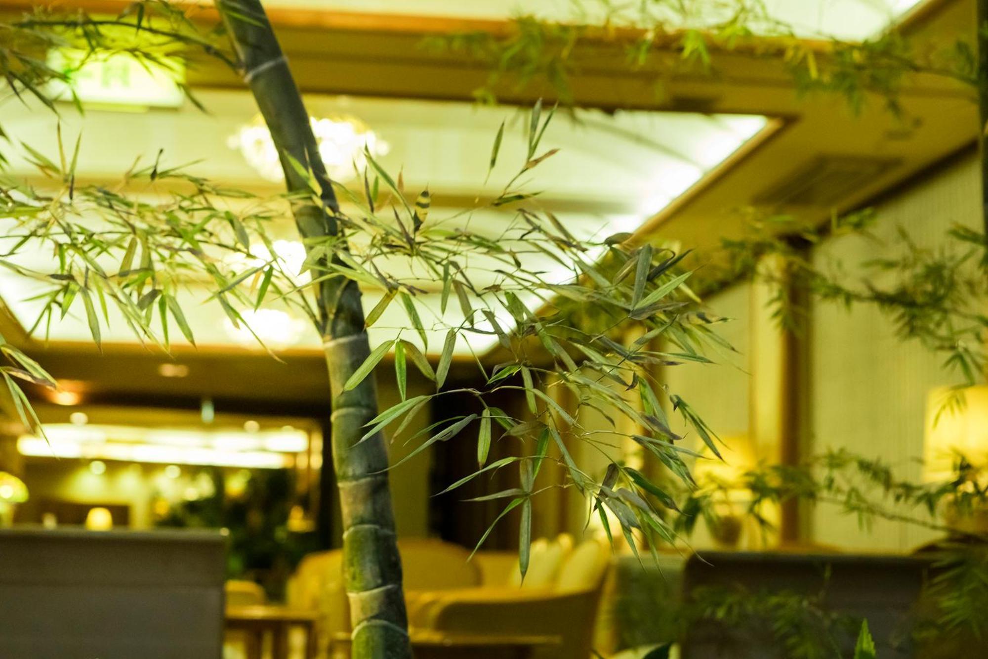 Hakone Yumoto Onsen Hotel Kajikaso Exterior foto